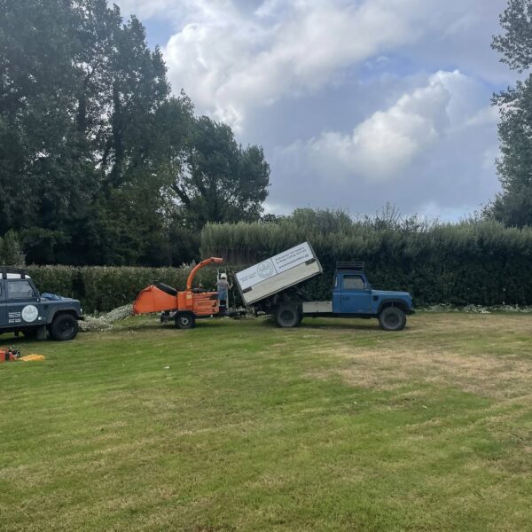 Wood chipping from hedge reduction